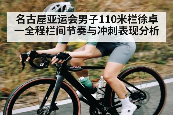 名古屋亚运会男子110米栏徐卓一全程栏间节奏与冲刺表现分析