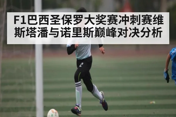 F1巴西圣保罗大奖赛冲刺赛维斯塔潘与诺里斯巅峰对决分析